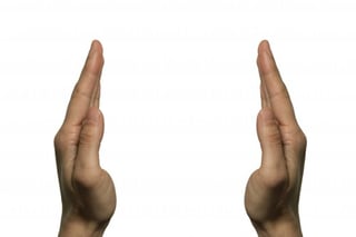 two-hands-facing-left-hand.jpg